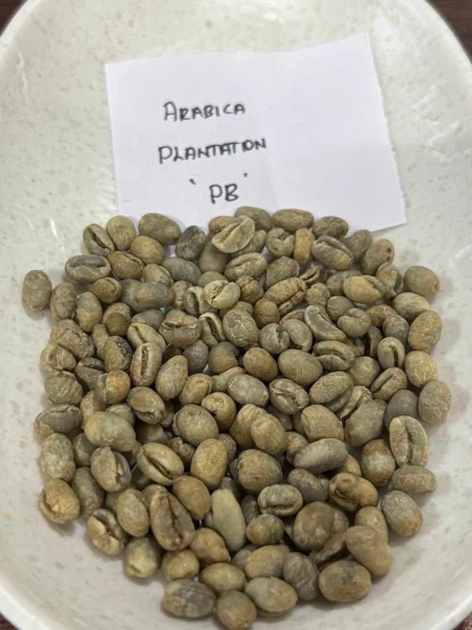 Arabica Plantation PB