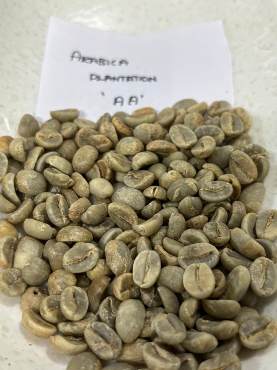 Arabica Plantation AA