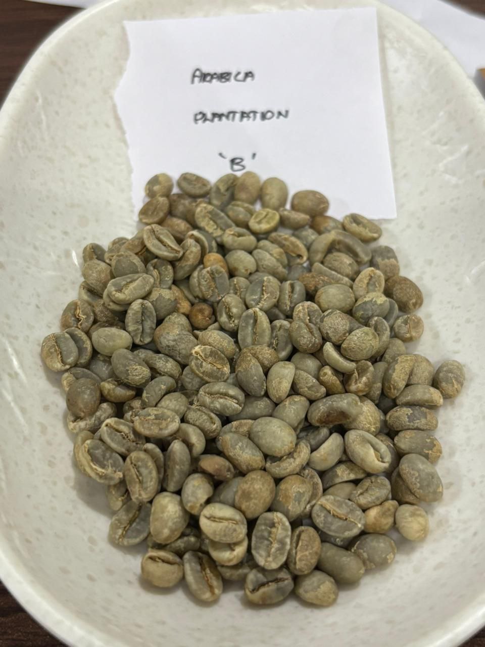 Arabica Plantation B