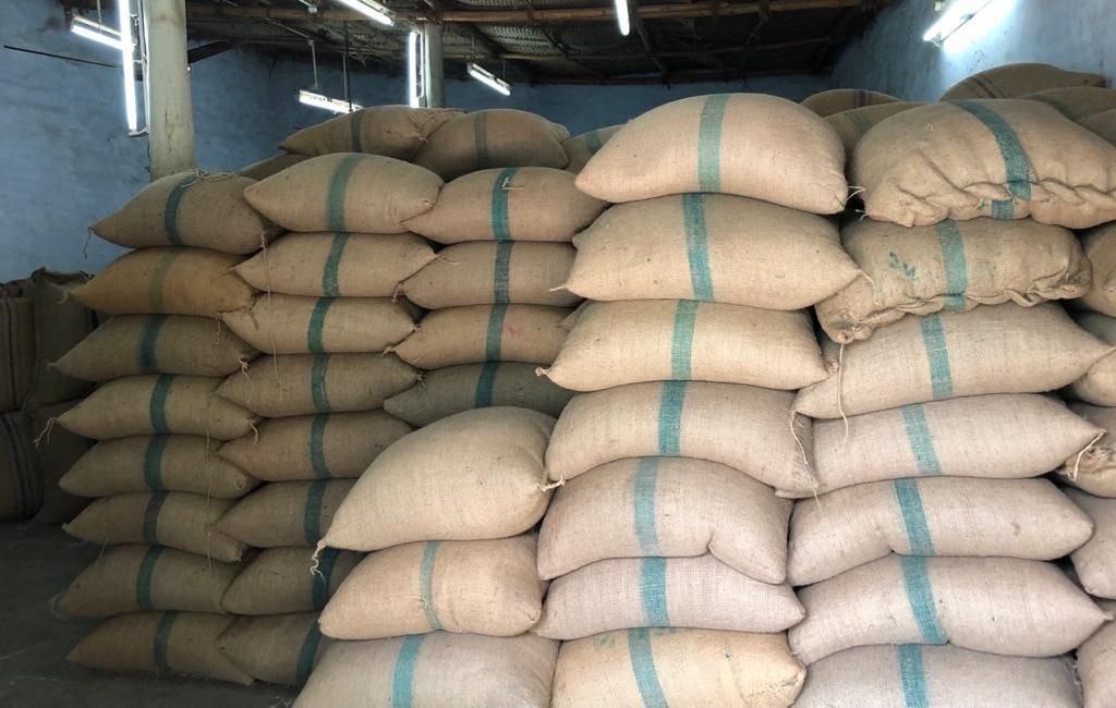 Coffee Processing Factory